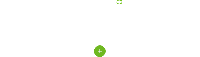 V2L